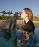 Mischa Barton kissing a dolphin