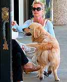 Nicollette Sheridan with her dog