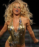 Pamela Anderson's boobs
